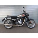 BSA Gold Star 2026 grün